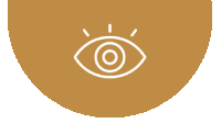 Vision